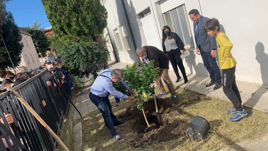 LA SCUOLA DI RODI’ MILICI CELEBRA LA FESTA DELL’ALBERO